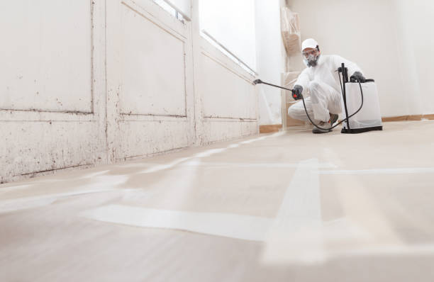 24/7 Emergency Mold Remediation experts in Lignum, VA